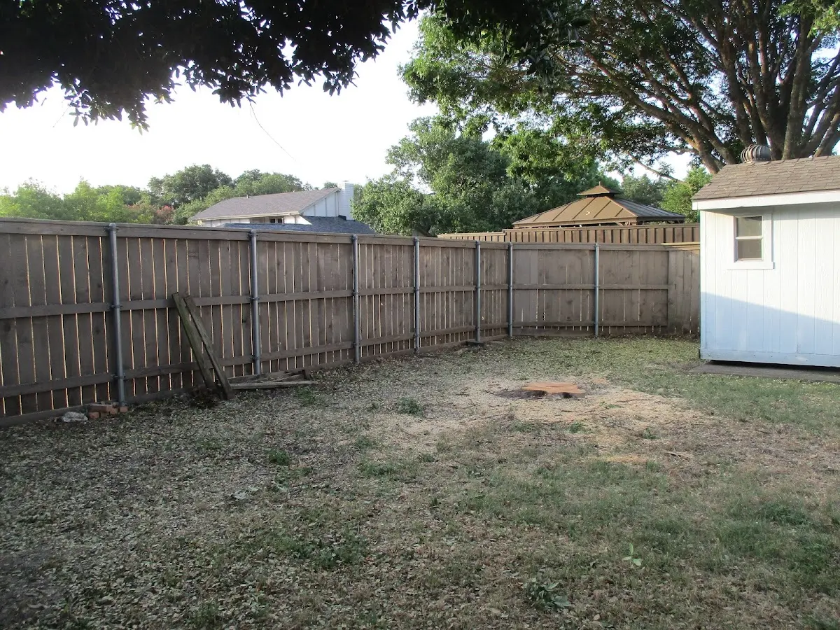 Cleared yard after professional tree removal in Wood Lake