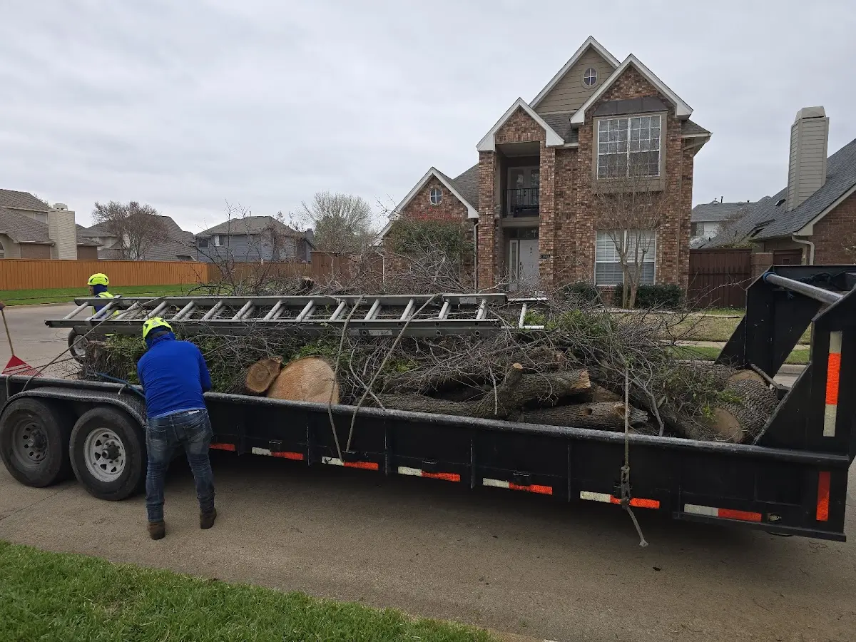Expert Crown Reduction with proper safety equipment in Wood Lake